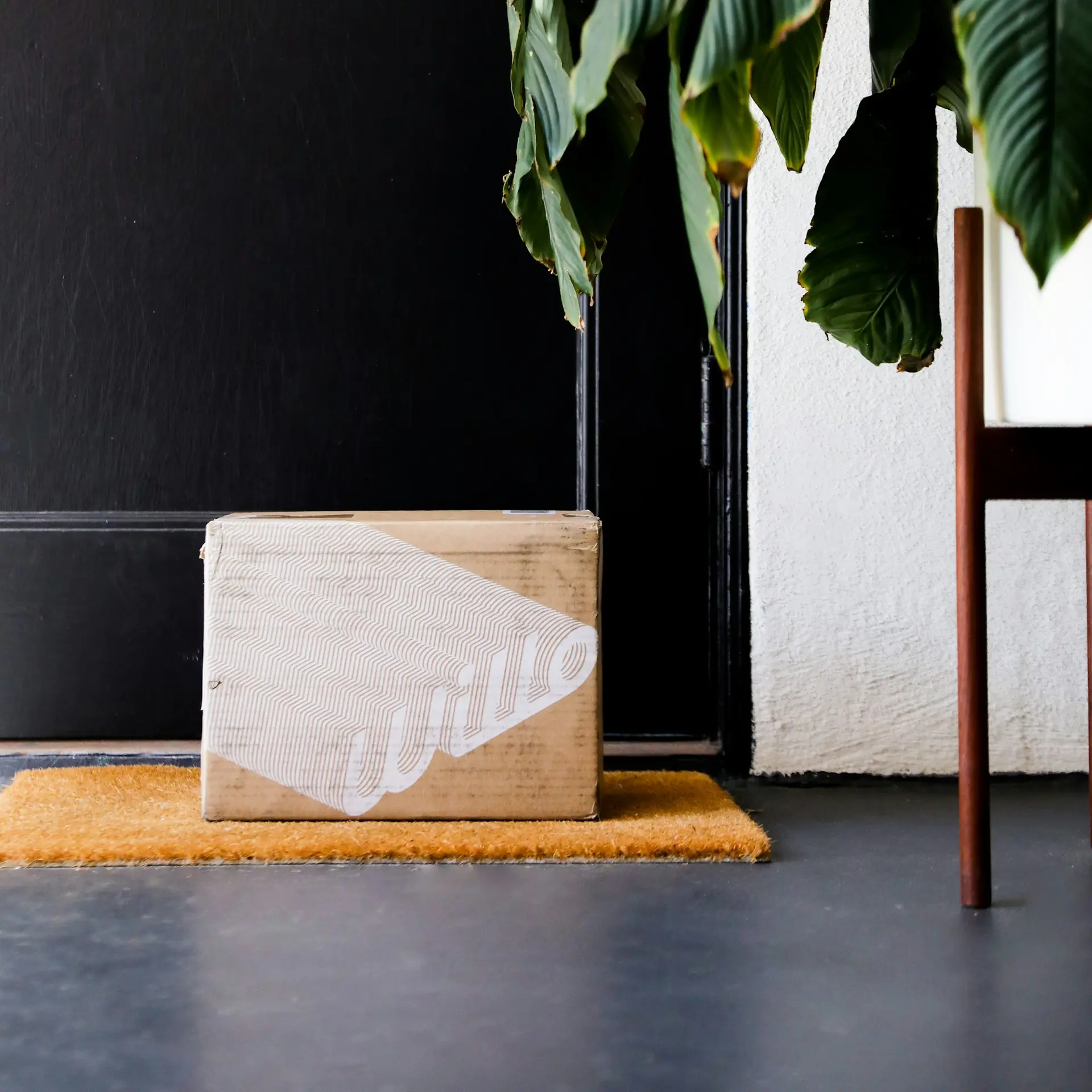 A leafy plant on a wooden stand by a white wall